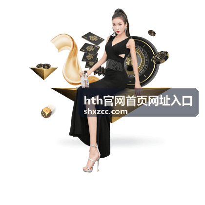 hth官网首页网址入口注册登录保护机制说明图
